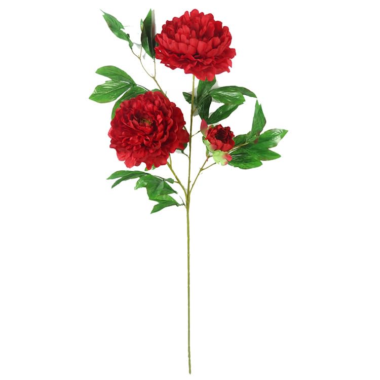 Amazon｜模擬牡丹の花家のインテリア装飾シルクフラワー造花白牡丹 3